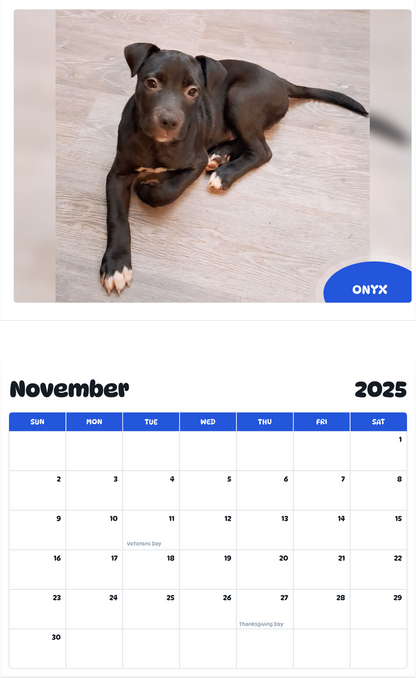 July 2025 - June 2026 Onyx - Pawidols Pet Calendar