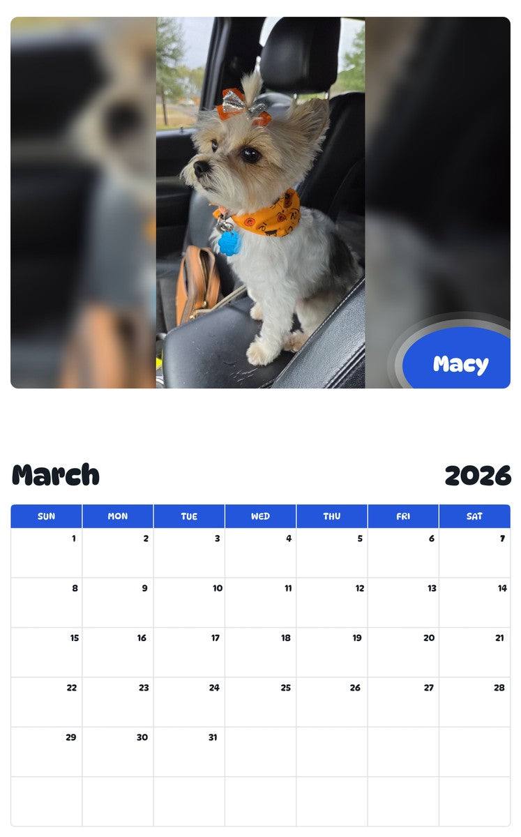 November 2025 - October 2026 Macy - Pawidols Pet Calendar