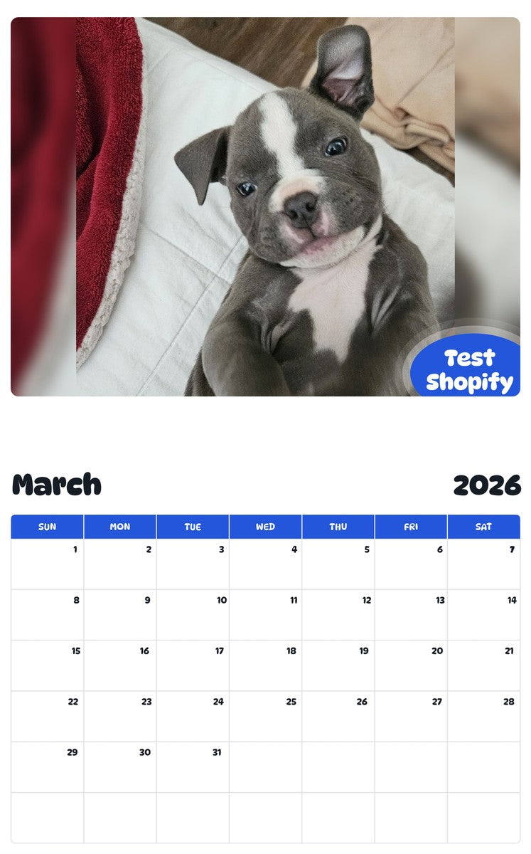 November 2025 - October 2026 Test Shopify - Pawidols Pet Calendar