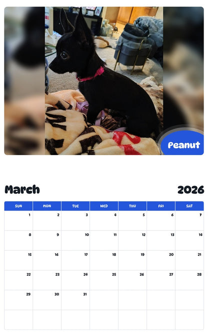 November 2025 - October 2026 Peanut - Pawidols Pet Calendar