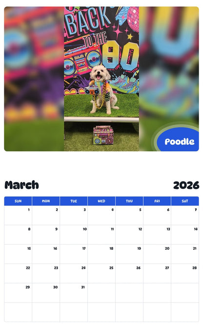November 2025 - October 2026 Poodle - Pawidols Pet Calendar