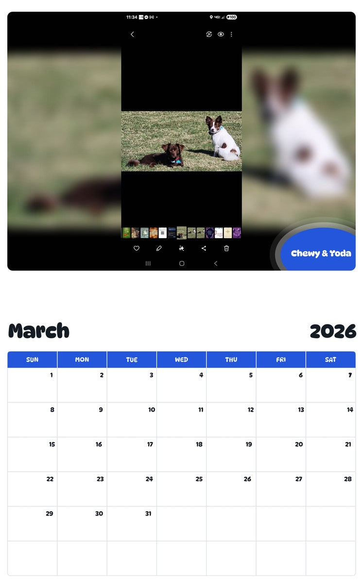 November 2025 - October 2026 Chewy & Yoda - Pawidols Pet Calendar