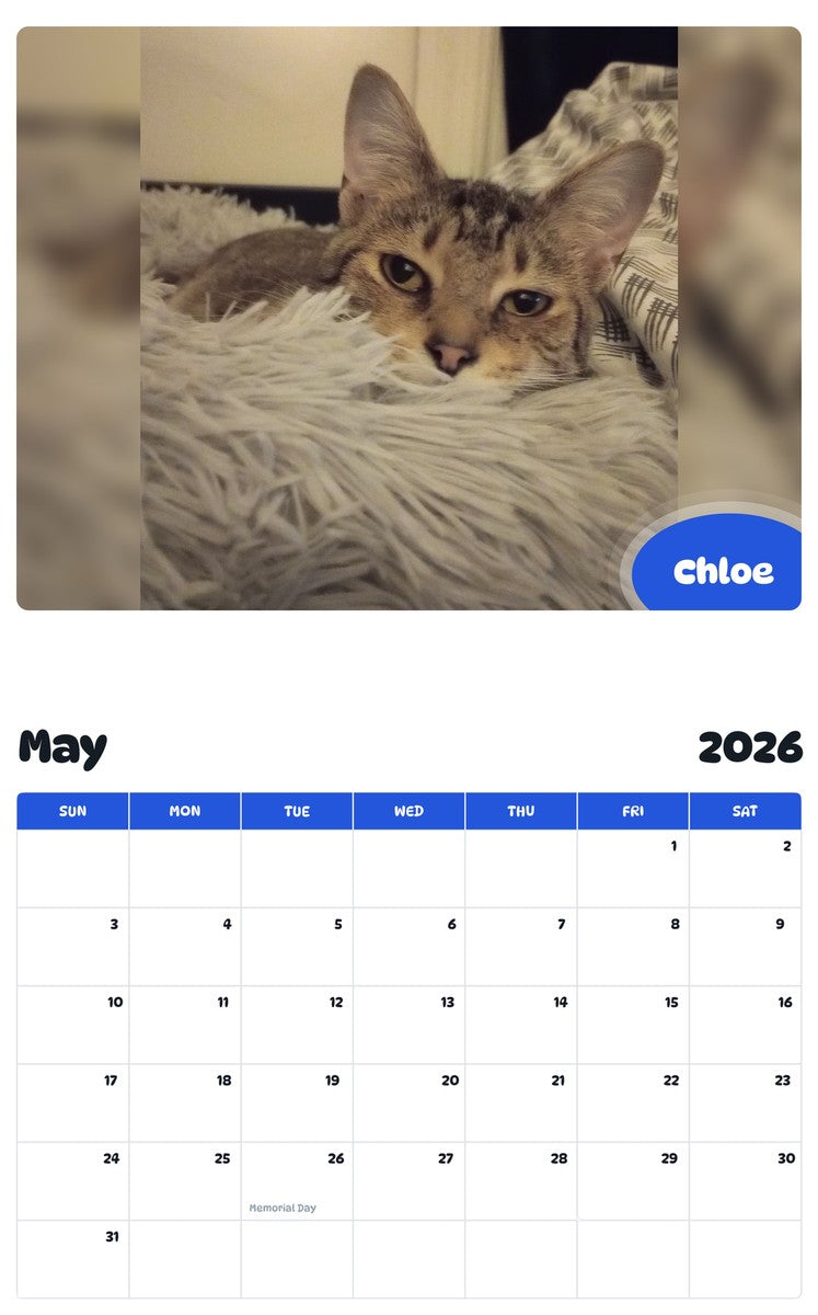 2026 - 2027 Chloe - Pawidols Pet Calendar