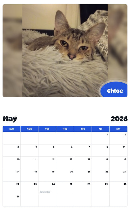 2026 - 2027 Chloe - Pawidols Pet Calendar