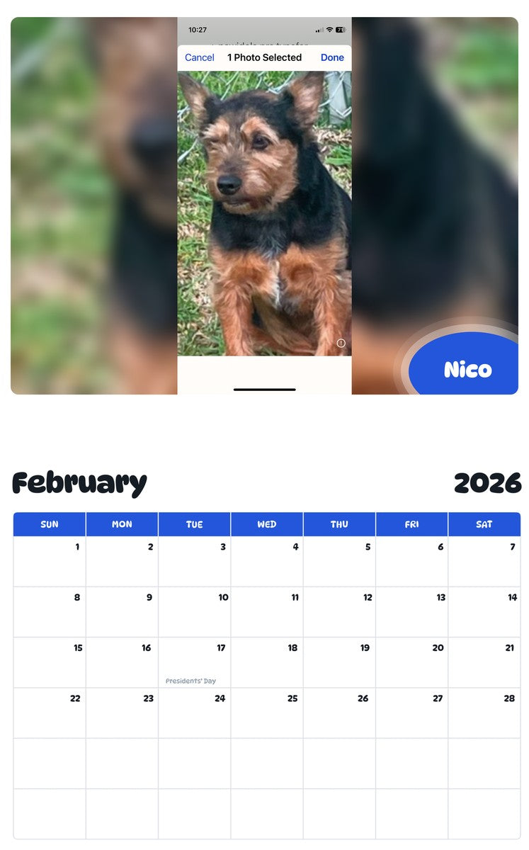October 2025 - September 2026 Nico - Pawidols Pet Calendar