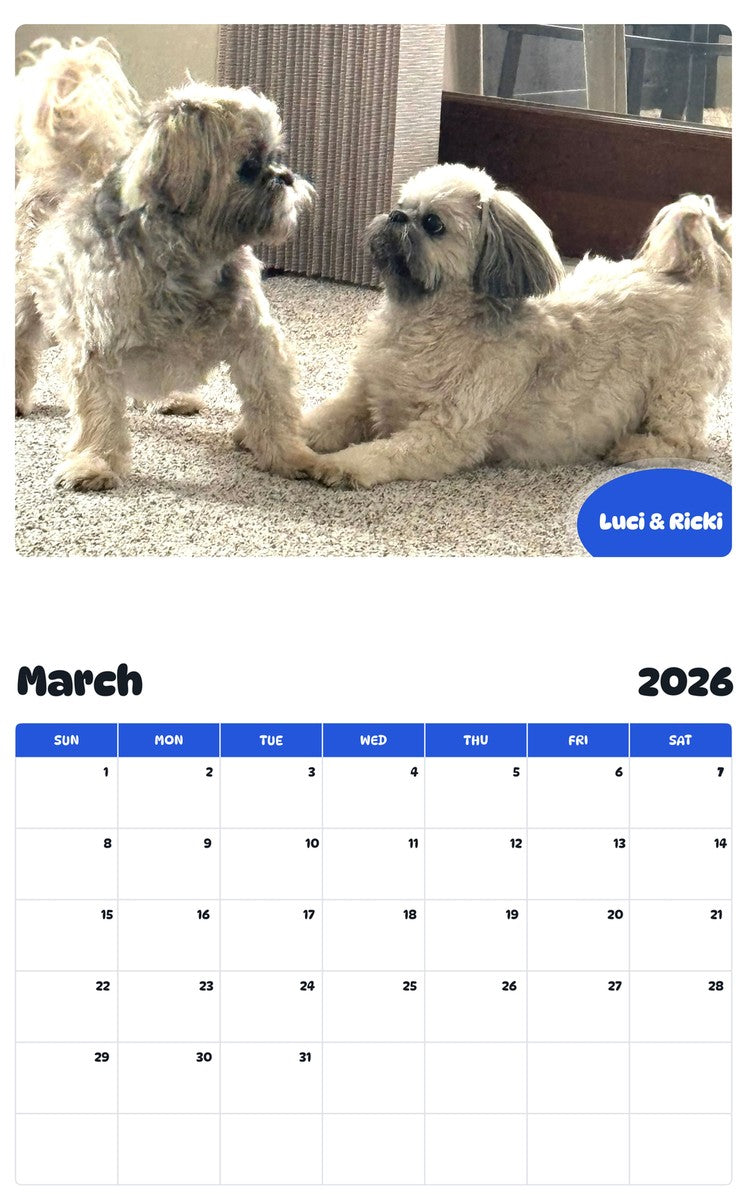 November 2025 - October 2026 Luci & Ricki - Pawidols Pet Calendar