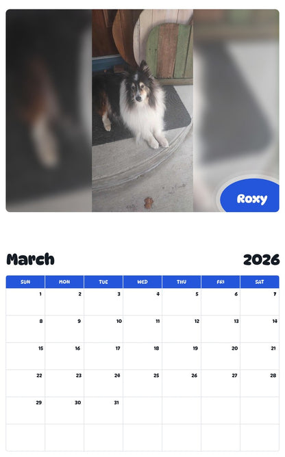 November 2025 - October 2026 Roxy - Pawidols Pet Calendar
