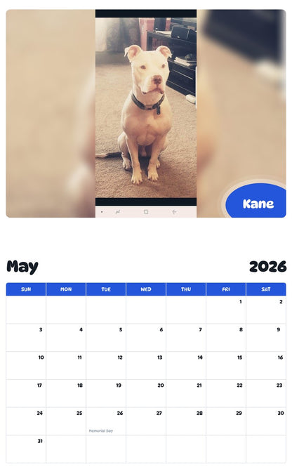2026 - 2027 Kane - Pawidols Pet Calendar