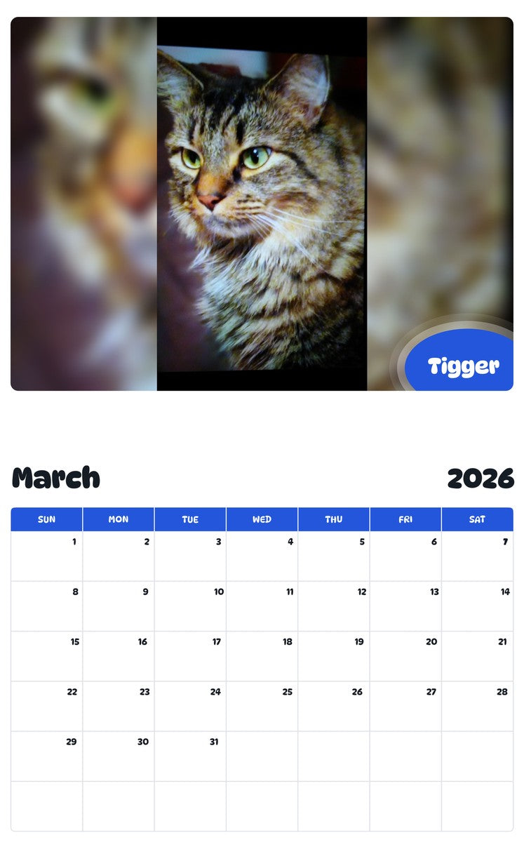 November 2025 - October 2026 Tigger - Pawidols Pet Calendar
