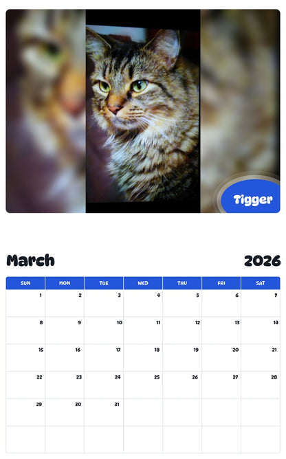 November 2025 - October 2026 Tigger - Pawidols Pet Calendar