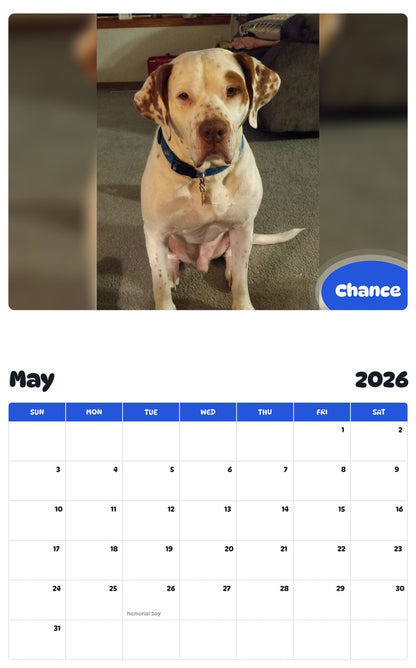 2026 - 2027 Chance - Pawidols Pet Calendar