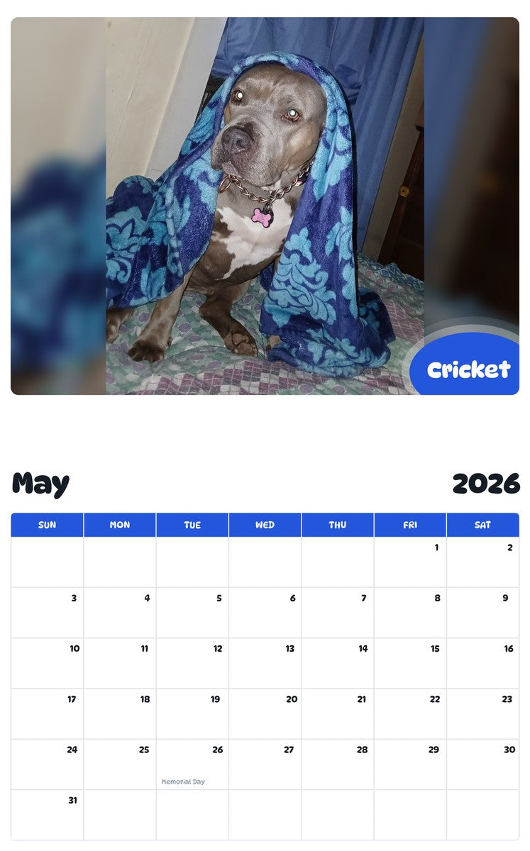 2026 - 2027 Cricket - Pawidols Pet Calendar