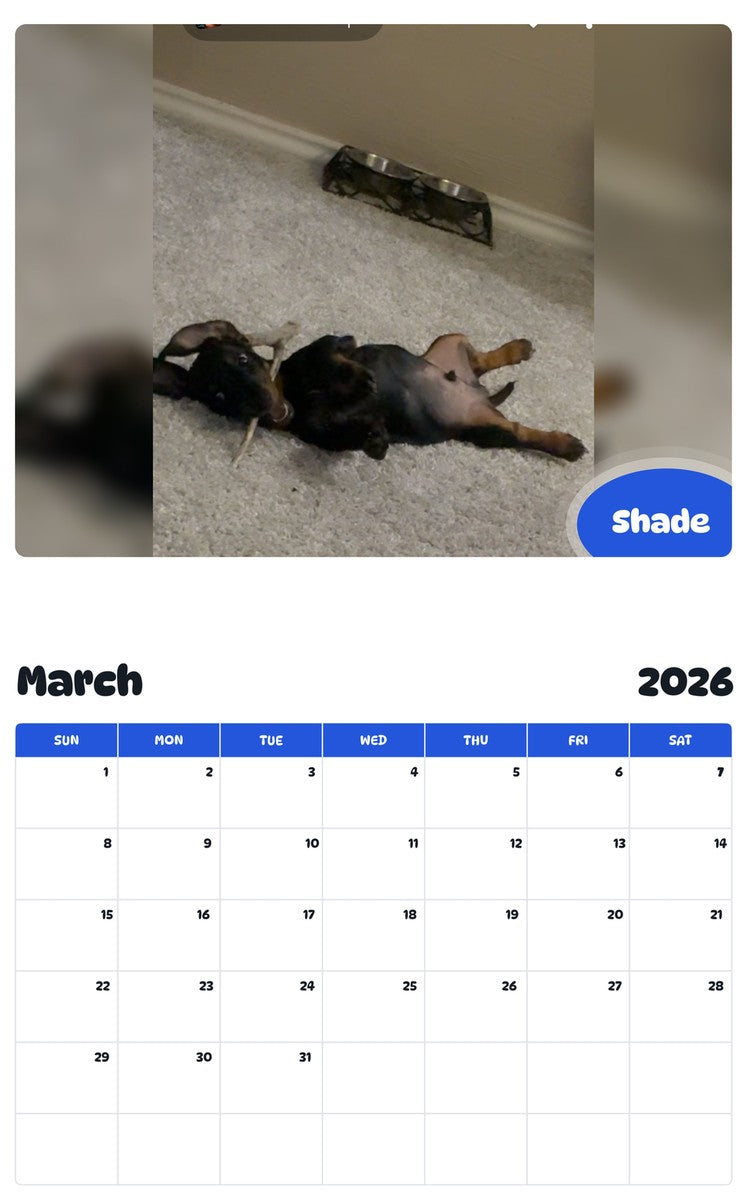 November 2025 - October 2026 Shade - Pawidols Pet Calendar