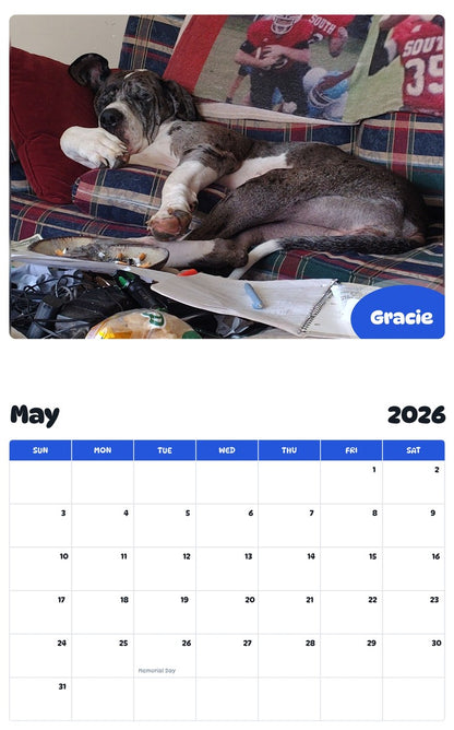 2026 - 2027 Gracie - Pawidols Pet Calendar
