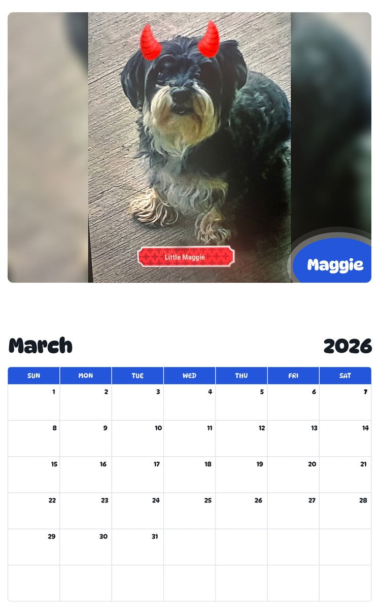 November 2025 - October 2026 Maggie - Pawidols Pet Calendar