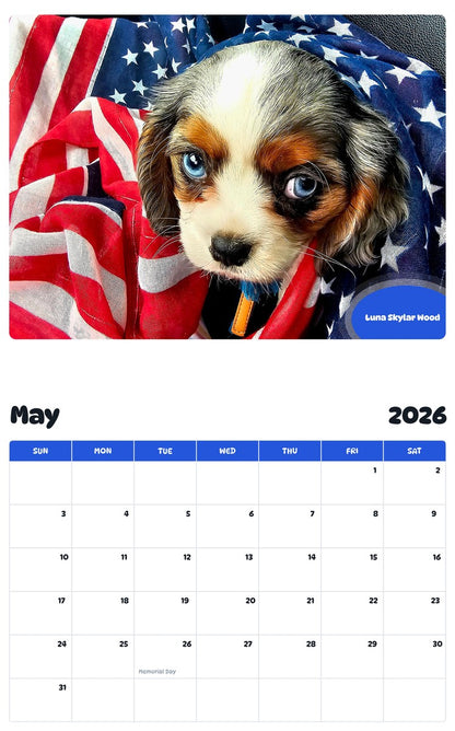 2026 - 2027 Luna Skylar Wood - Pawidols Pet Calendar