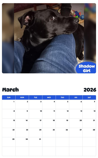 November 2025 - October 2026 Shadow Girl - Pawidols Pet Calendar
