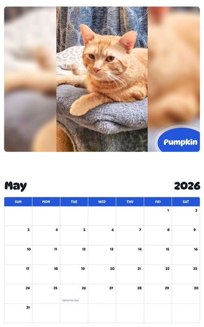 2026 - 2027 Pumpkin - Pawidols Pet Calendar