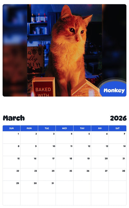 November 2025 - October 2026 Monkey - Pawidols Pet Calendar