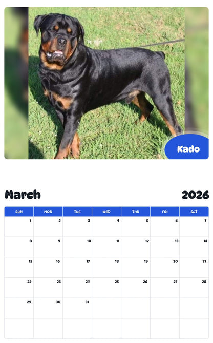 November 2025 - October 2026 Kado - Pawidols Pet Calendar