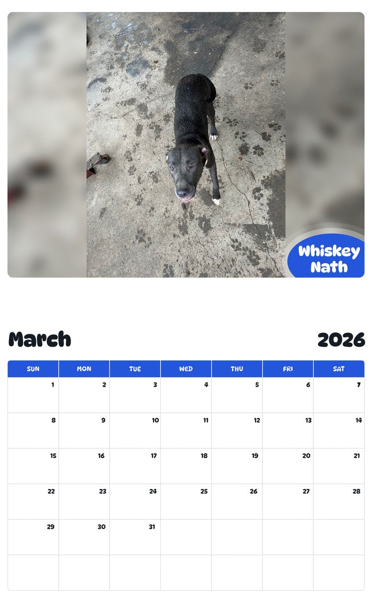 November 2025 - October 2026 Whiskey Nath - Pawidols Pet Calendar