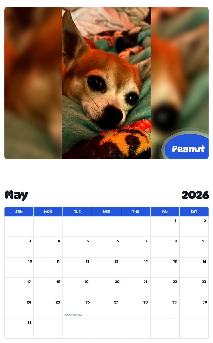 2026 - 2027 Peanut - Pawidols Pet Calendar