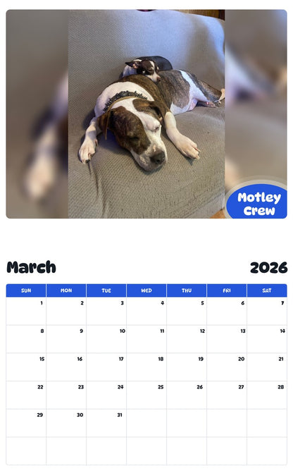 November 2025 - October 2026 Motley Crew - Pawidols Pet Calendar