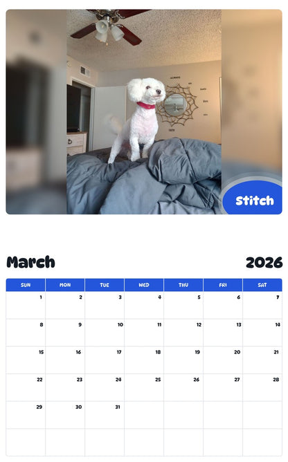 November 2025 - October 2026 Stitch - Pawidols Pet Calendar