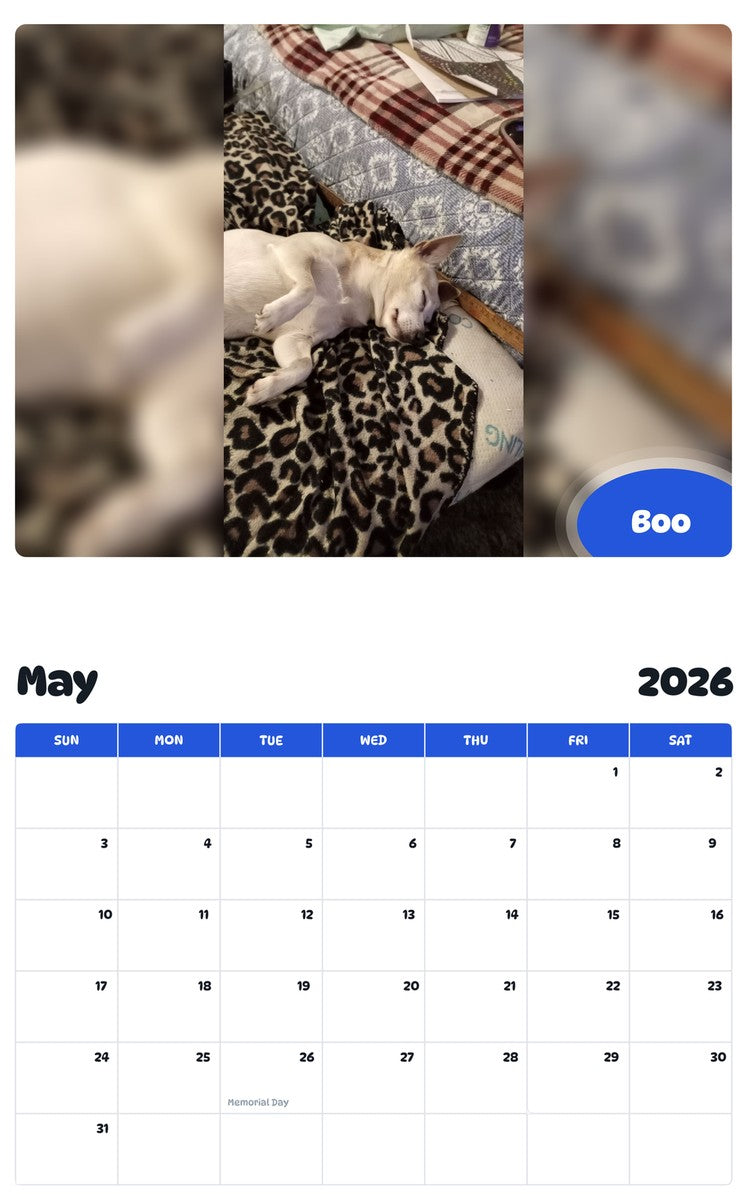 2026 - 2027 Boo - Pawidols Pet Calendar