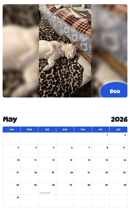 2026 - 2027 Boo - Pawidols Pet Calendar