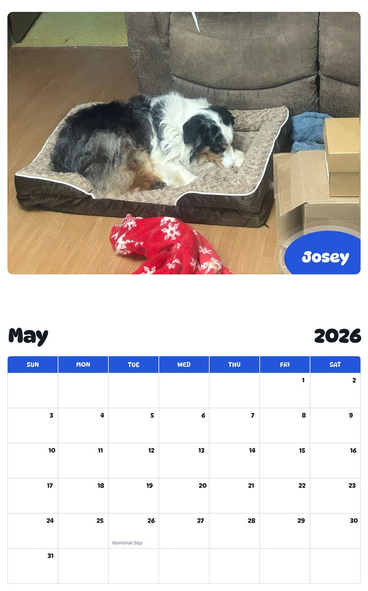 2026 - 2027 Josey - Pawidols Pet Calendar
