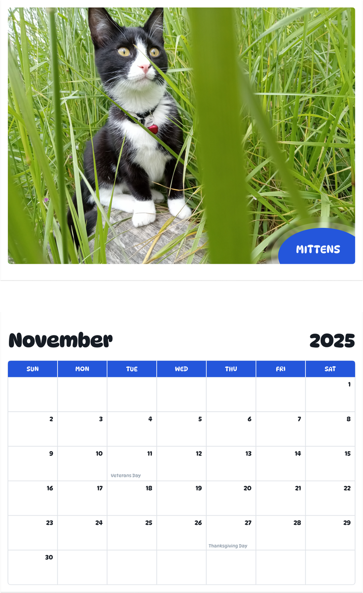 July 2025 - June 2026 Mittens - Pawidols Pet Calendar