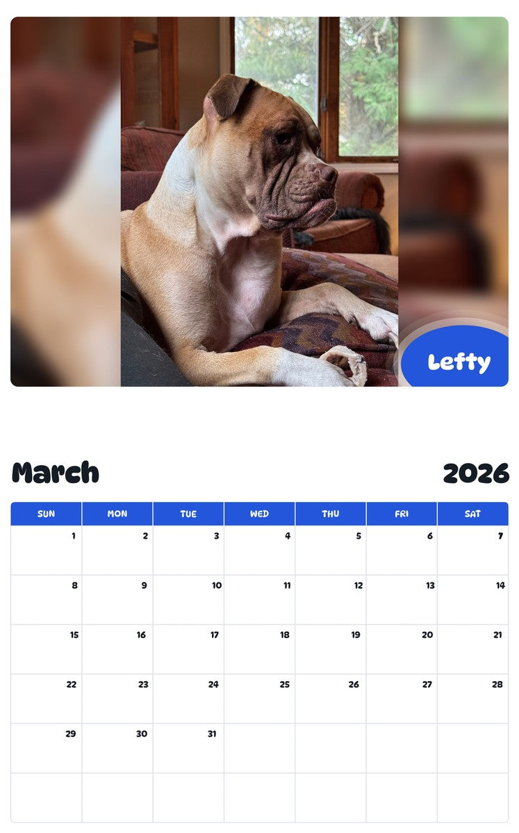 November 2025 - October 2026 Lefty - Pawidols Pet Calendar