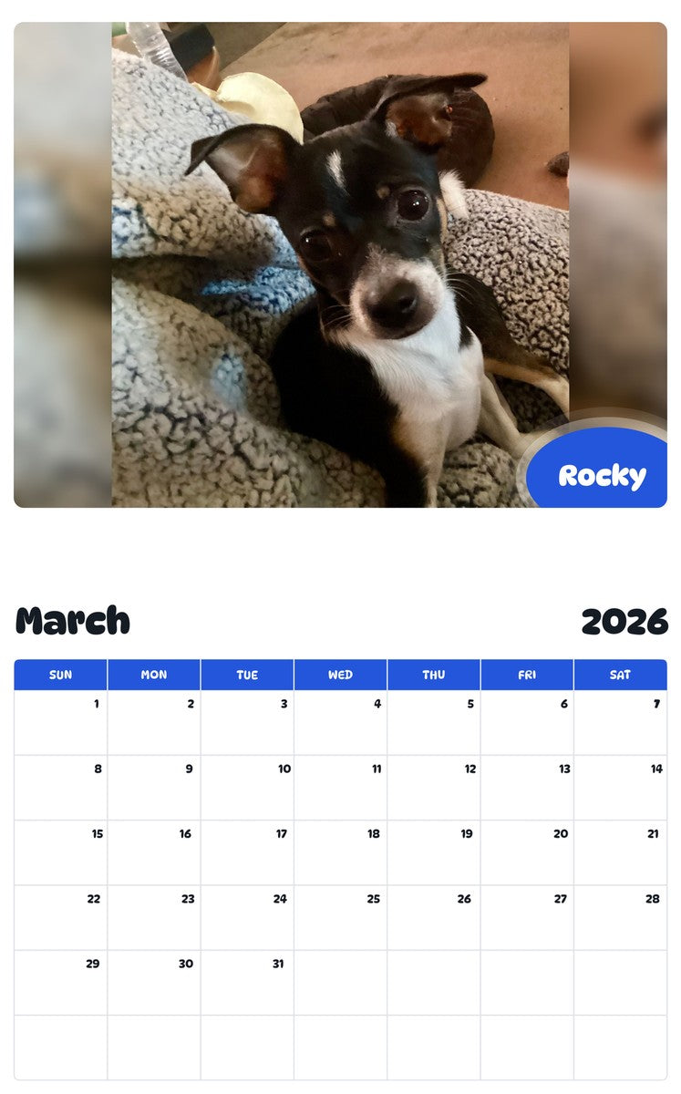November 2025 - October 2026 Rocky - Pawidols Pet Calendar