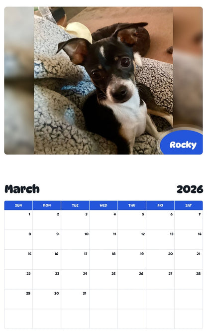 November 2025 - October 2026 Rocky - Pawidols Pet Calendar