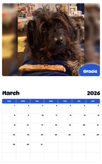 November 2025 - October 2026 Gracie - Pawidols Pet Calendar