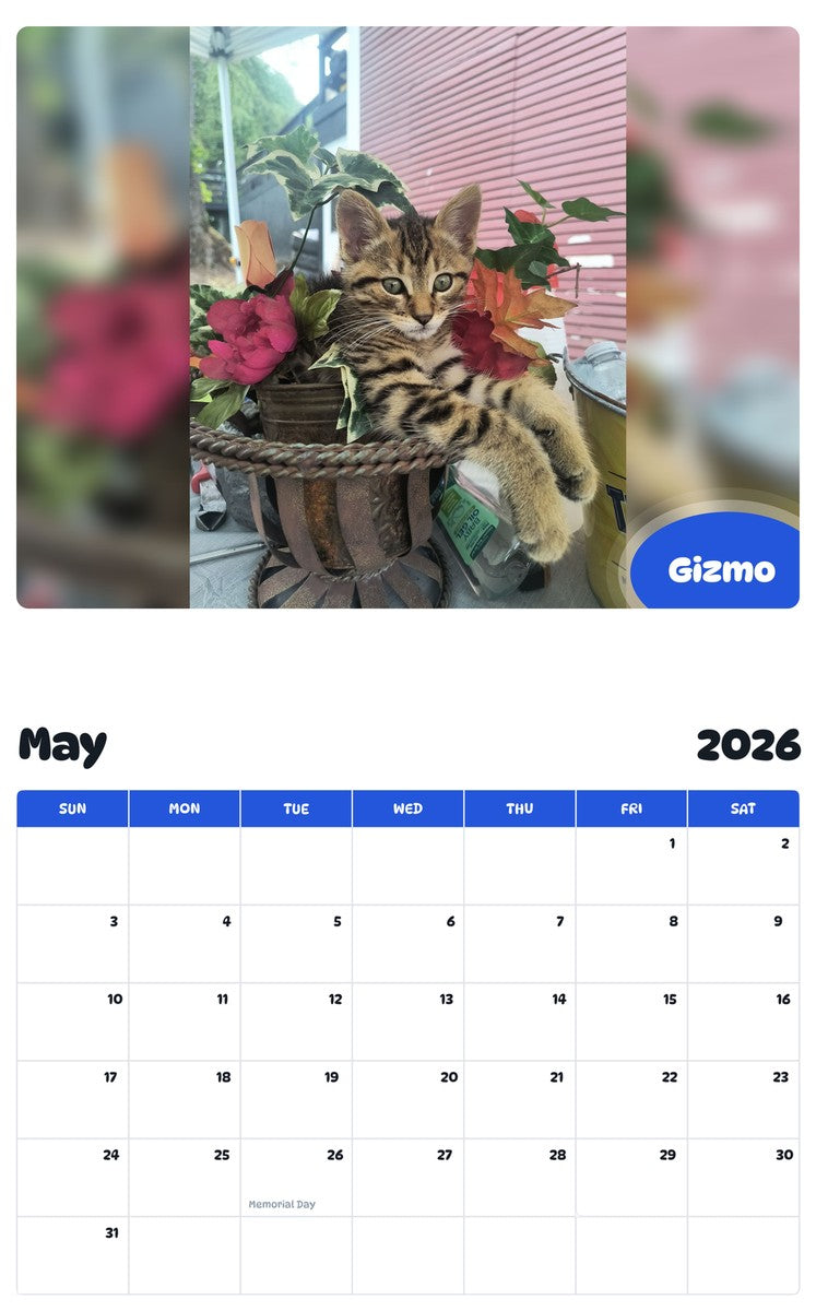 2026 - 2027 Gizmo - Pawidols Pet Calendar