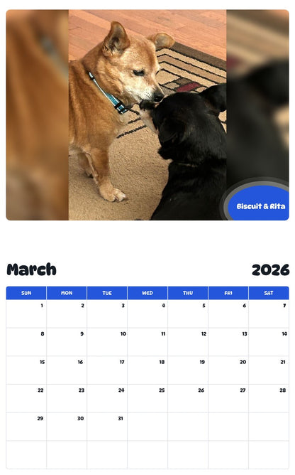 November 2025 - October 2026 Biscuit & Rita - Pawidols Pet Calendar