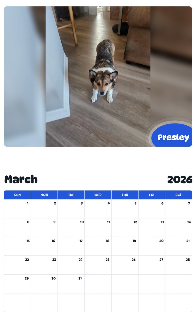 November 2025 - October 2026 Presley - Pawidols Pet Calendar