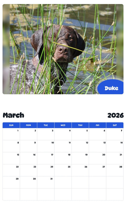 November 2025 - October 2026 Duke - Pawidols Pet Calendar