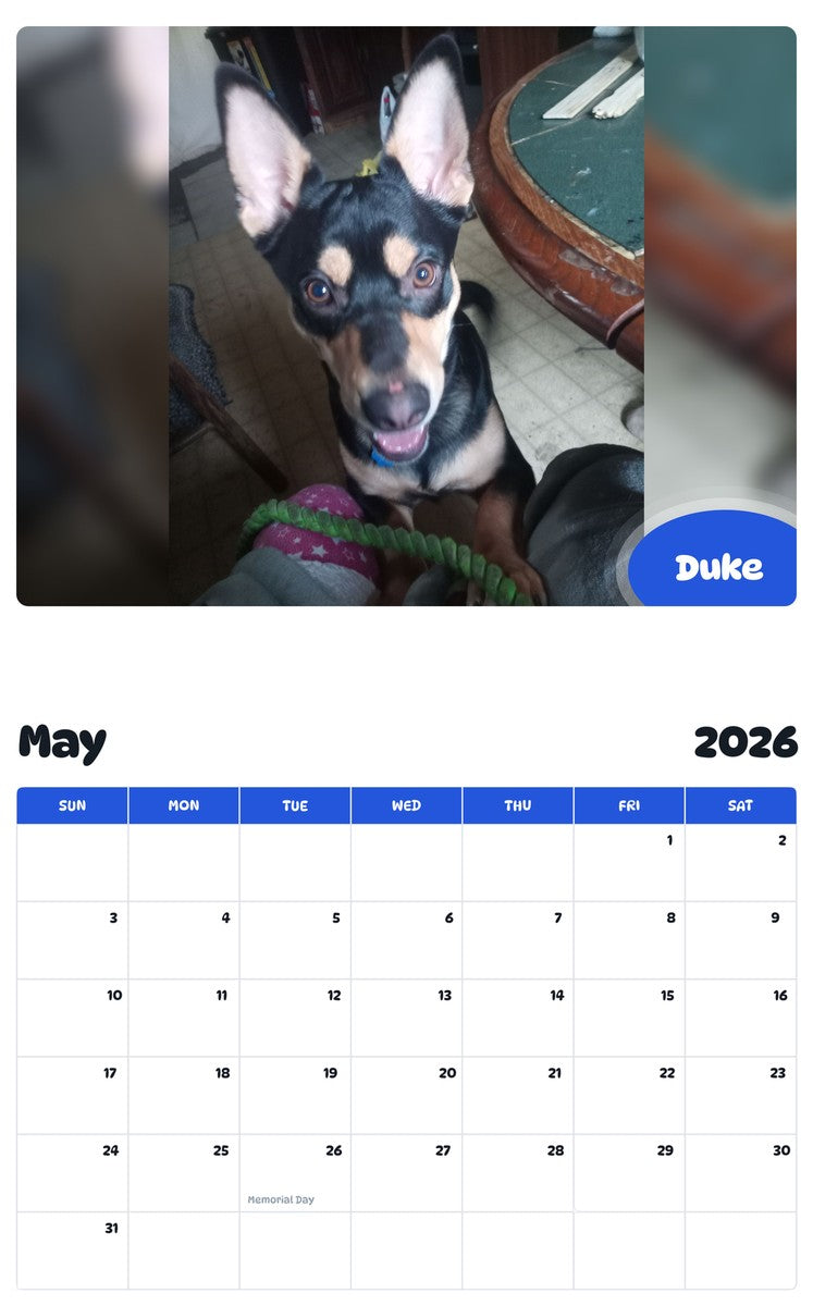 2026 - 2027 Duke - Pawidols Pet Calendar