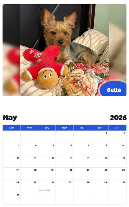 2026 - 2027 Bella - Pawidols Pet Calendar