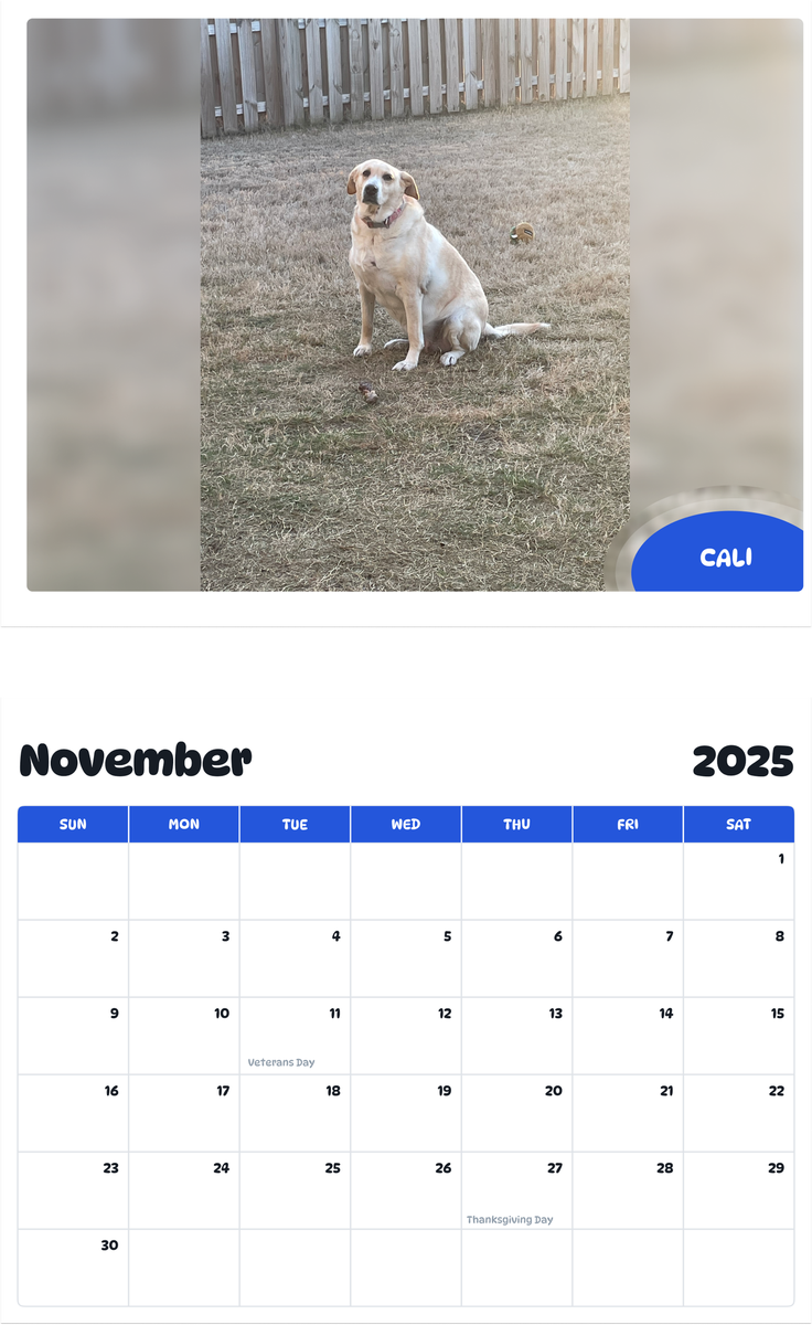 July 2025 - June 2026 Cali - Pawidols Pet Calendar
