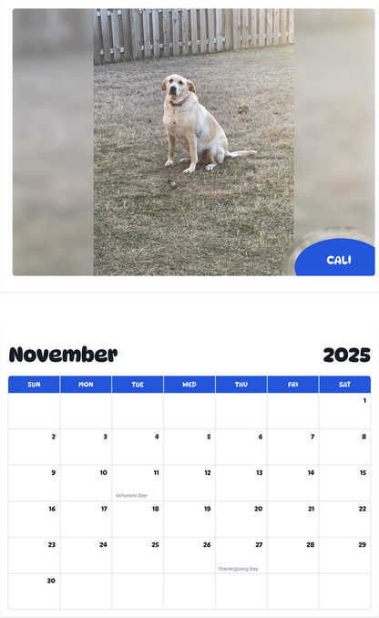 July 2025 - June 2026 Cali - Pawidols Pet Calendar