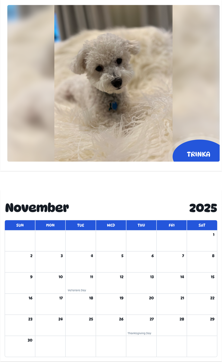 July 2025 - June 2026 Trinka - Pawidols Pet Calendar