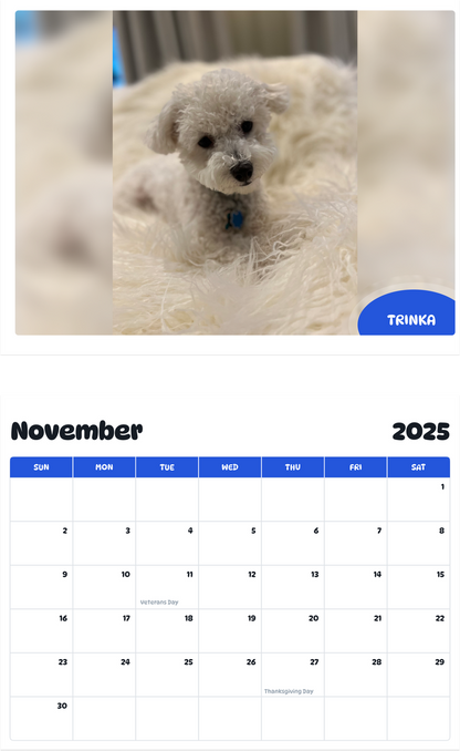 July 2025 - June 2026 Trinka - Pawidols Pet Calendar