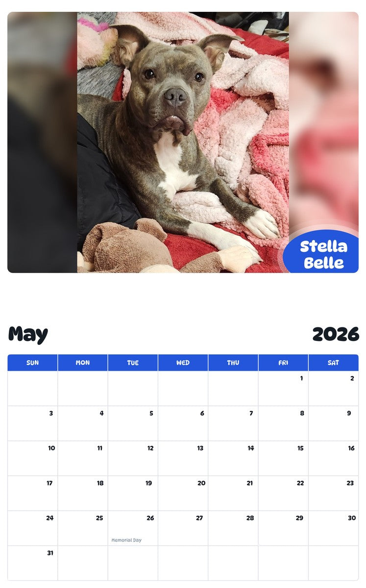 2026 - 2027 Stella Belle - Pawidols Pet Calendar