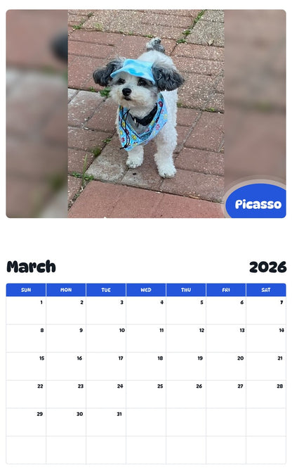 November 2025 - October 2026 Picasso - Pawidols Pet Calendar