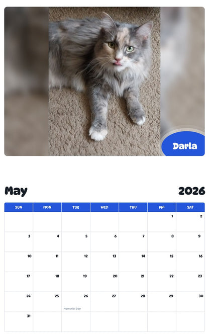 2026 - 2027 Darla - Pawidols Pet Calendar