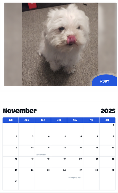 July 2025 - June 2026 Ruby - Pawidols Pet Calendar